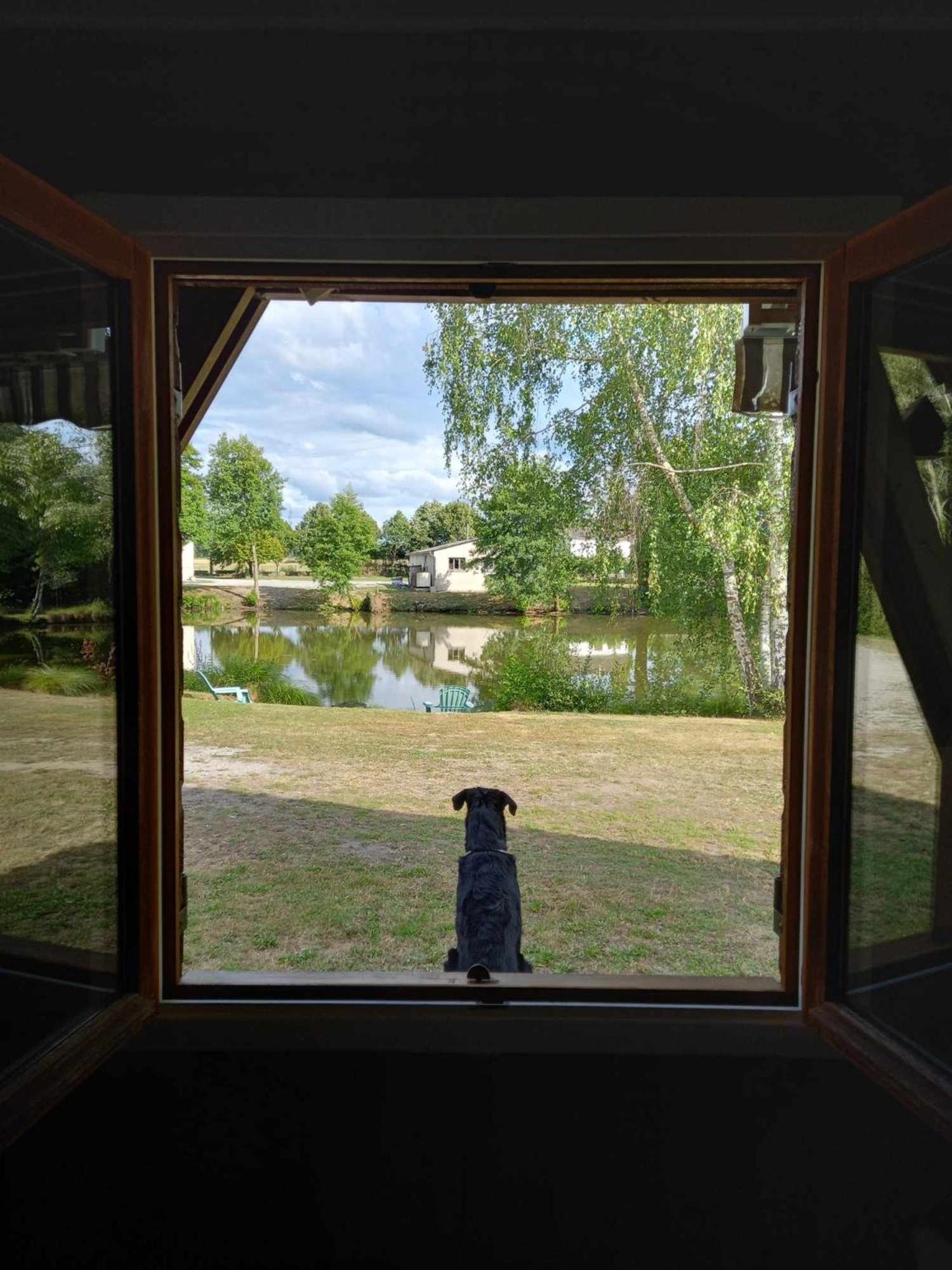 Le Chalet Limousin Folles Kültér fotó