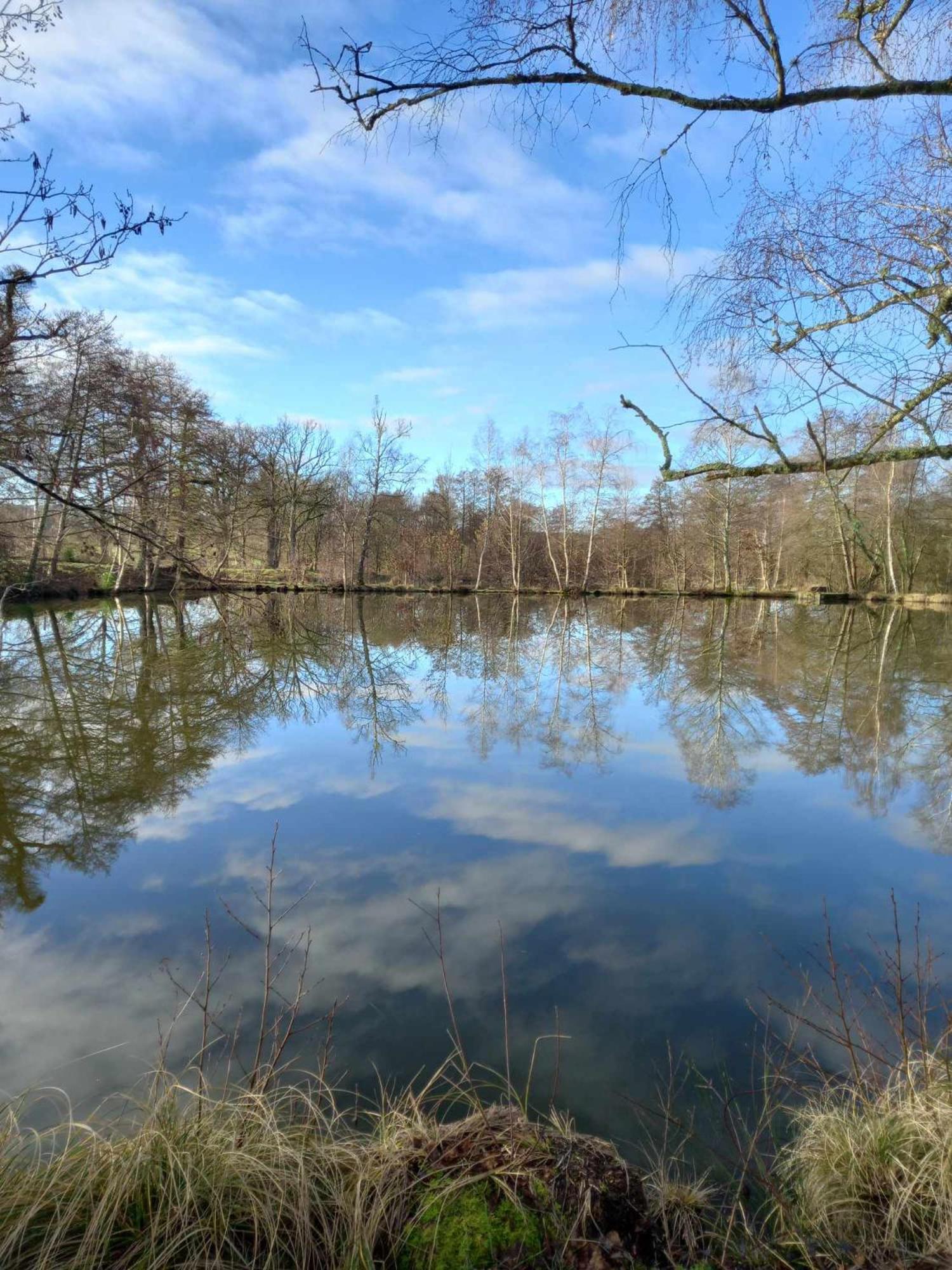 Le Chalet Limousin Folles Kültér fotó