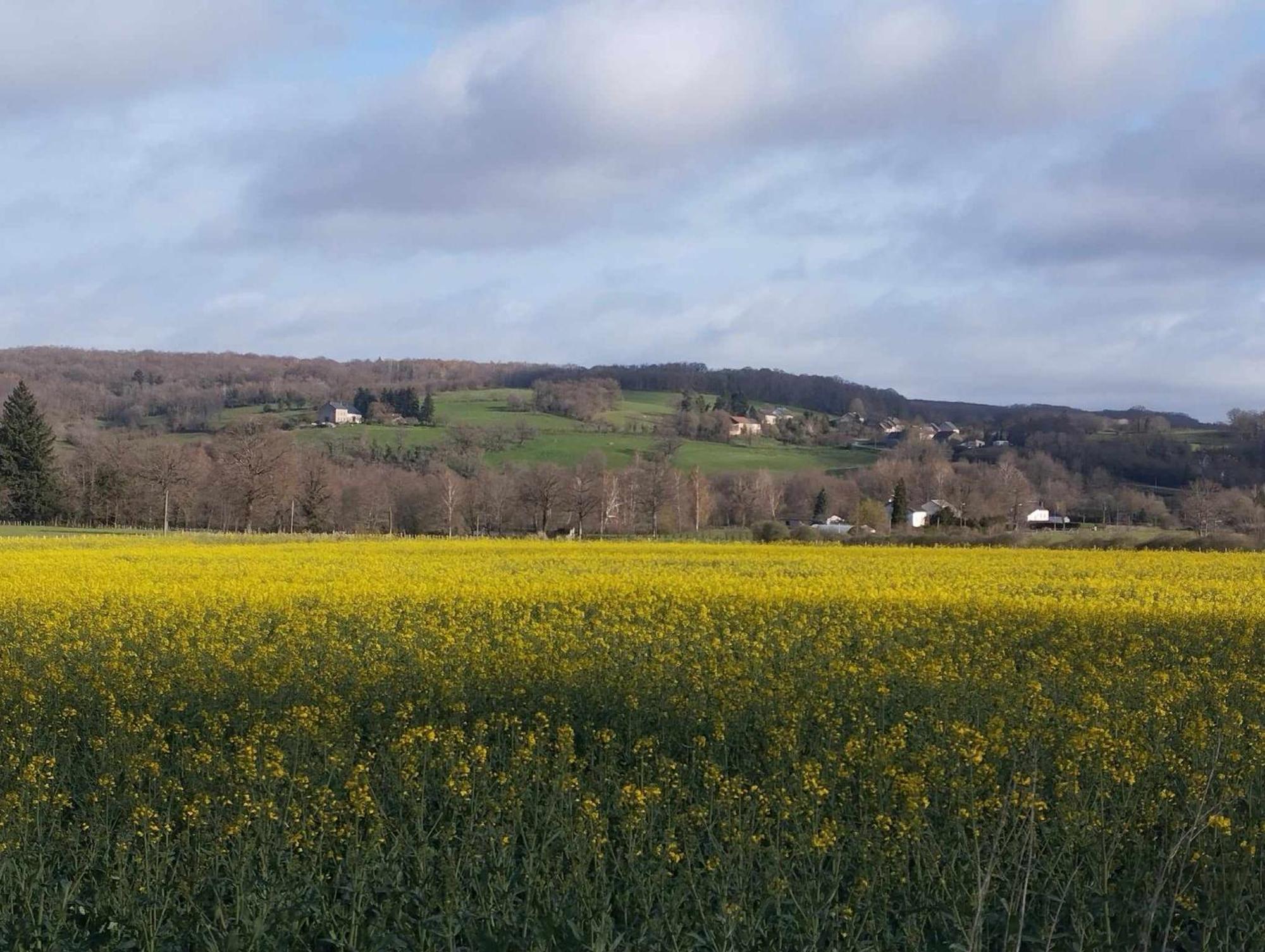 Le Chalet Limousin Folles Kültér fotó